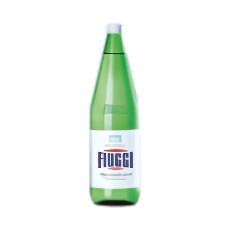 Вода минеральная природная питьевая столовая негазированная «fiuggi»